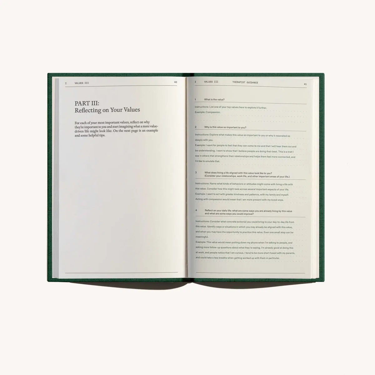 Therapy Notebooks ☼ The Field Guide For Depression