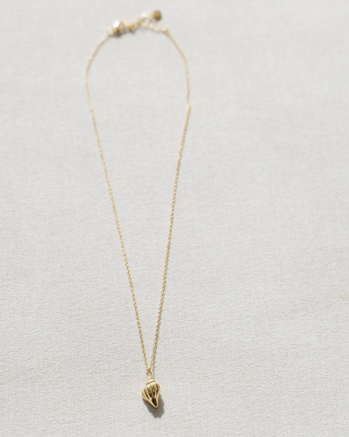 Coast and Cove - Gold Conch Shell Necklace