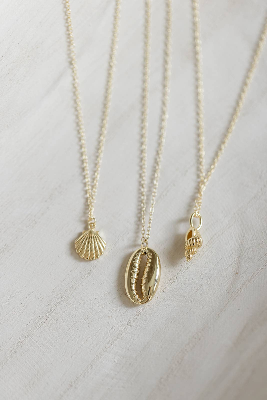 Coast and Cove - Gold Tulip Shell Necklace