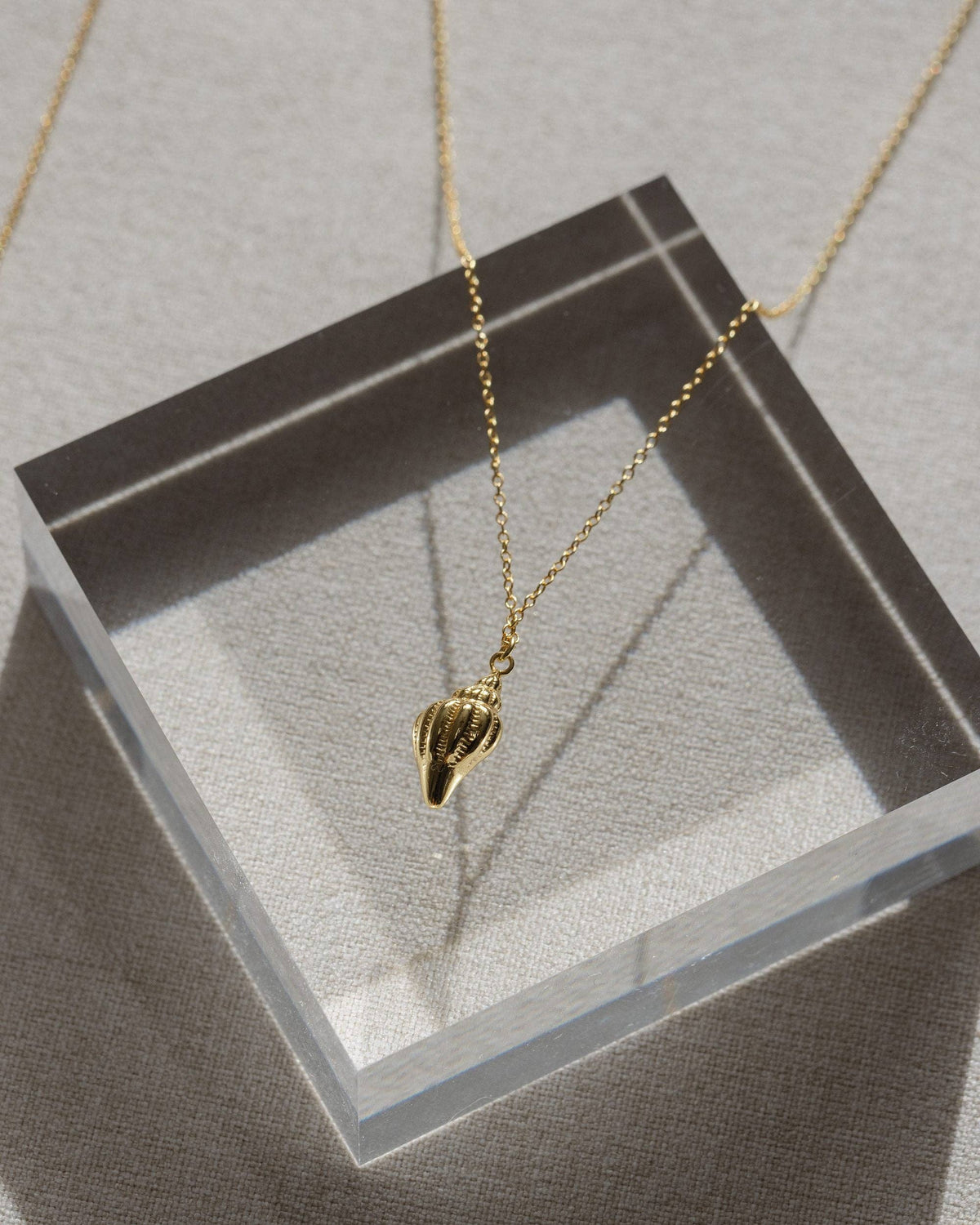 Coast and Cove - Gold Conch Shell Necklace