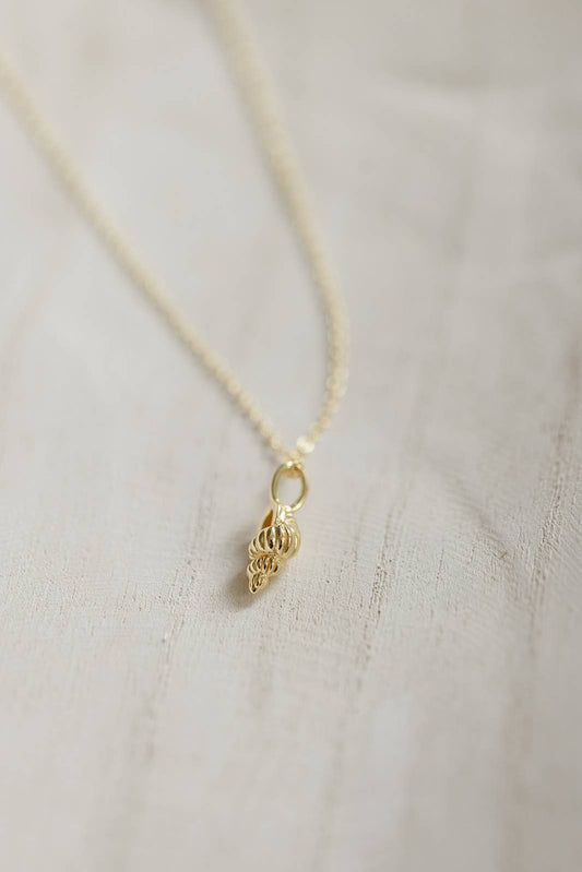 Coast and Cove - Gold Tulip Shell Necklace