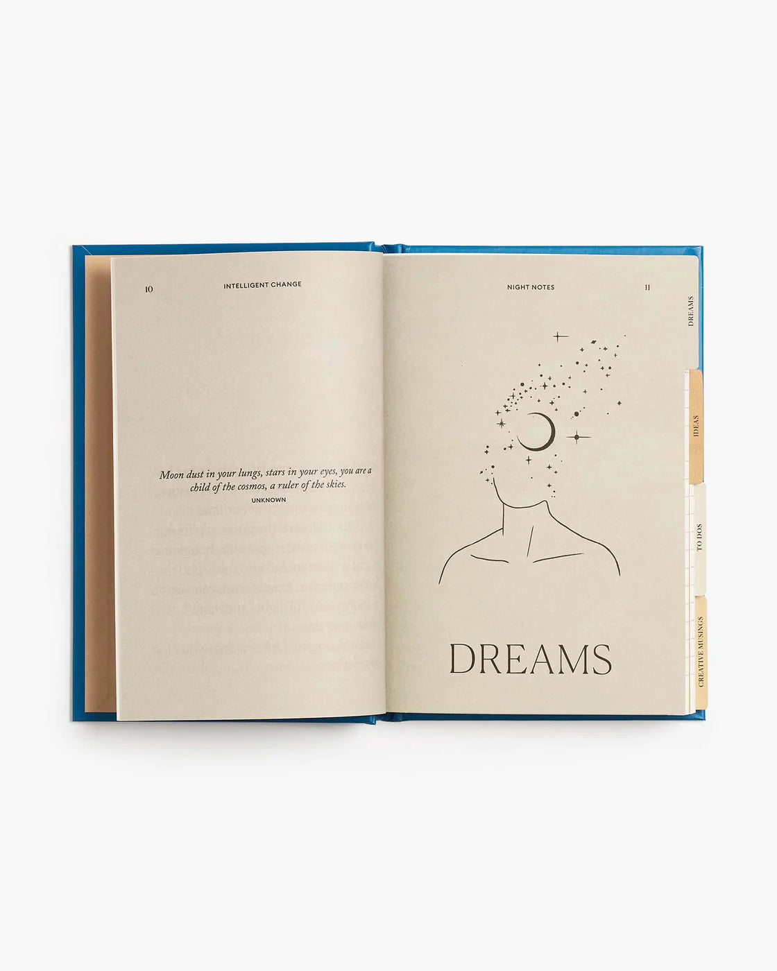 Intelligent Change ☼ Night Notes Journal