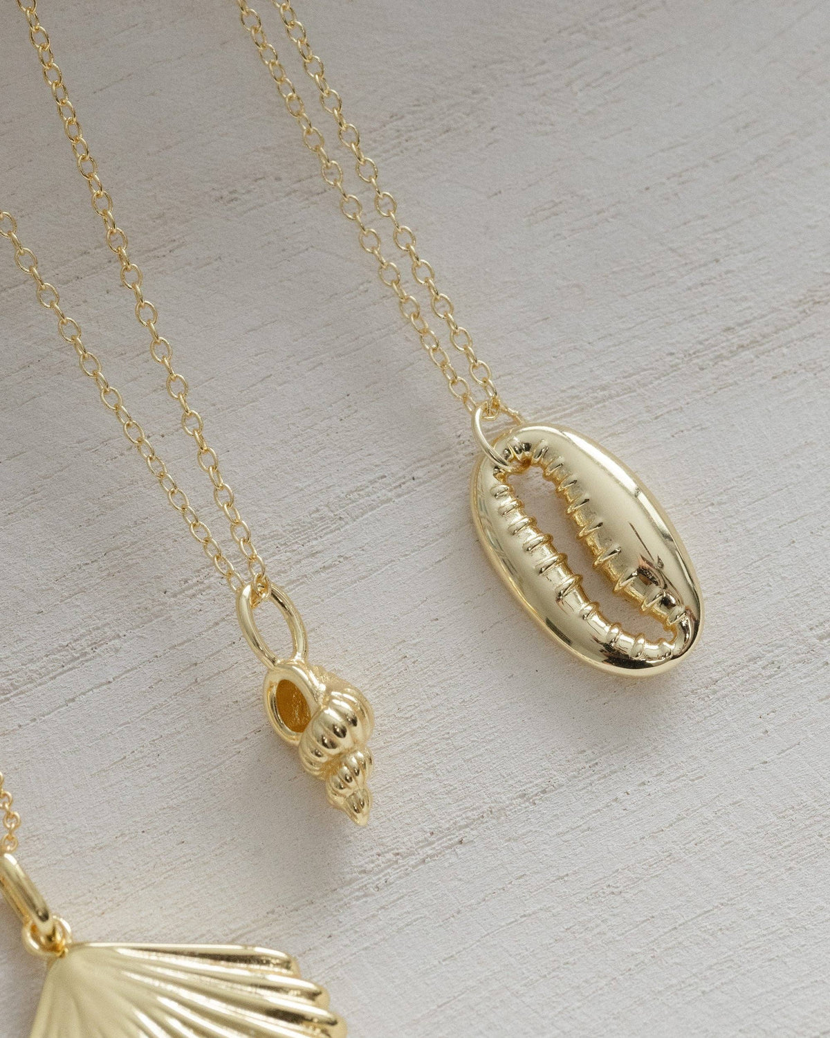 Coast and Cove - Gold Conch Shell Necklace