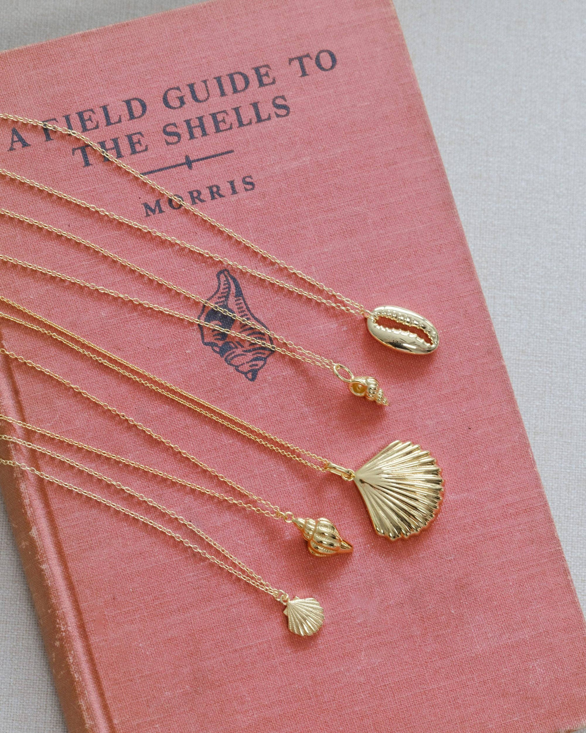 Coast and Cove - Gold Sanibel Necklace