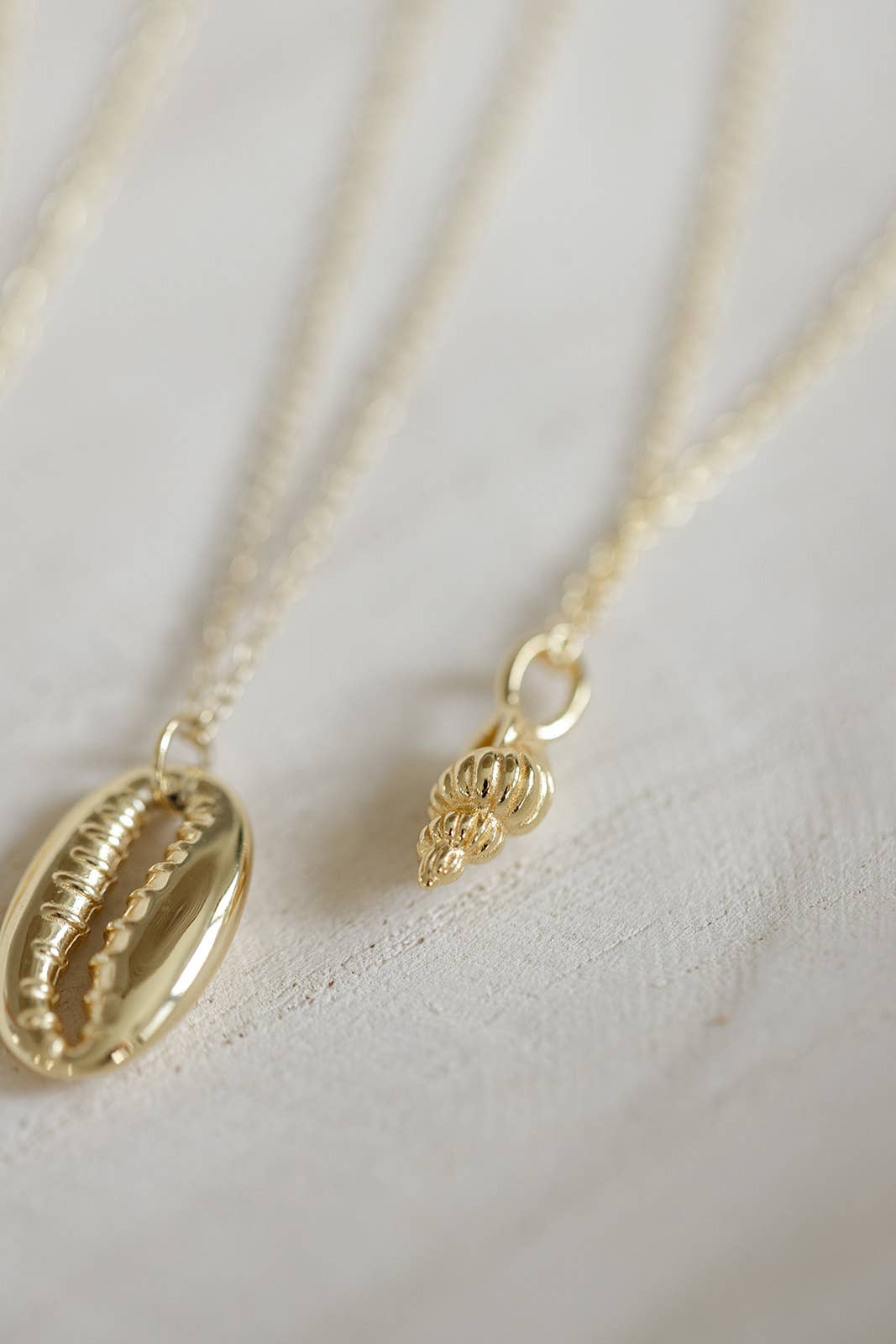 Coast and Cove - Gold Tulip Shell Necklace