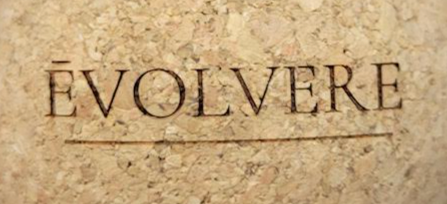 Rawlogy ☼ Ēvolvere Branded Travel Massage Ball